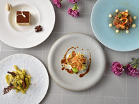 【平日ランチ限定】新年会個室プラン ※株主優待、割引・優待併用不可プラン※