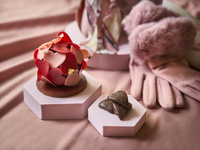 【Valentine 2026】モン・ペタル・ダムール～花びらに愛をのせて～