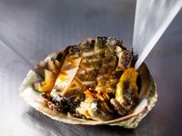 Ryuki　From February 1, 2026