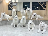 ≪平日≫通常チケット（50分）