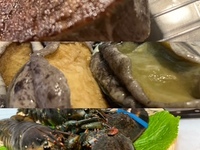 アワビ、オマールが入った新春特別コース　（2月末まで）