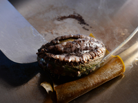 ご宿泊付きプラン　15％OFF！[バリュープラン土日祝日ディナー)] シェフコース+ワンドリンク