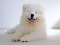 1時間ご利用チケット