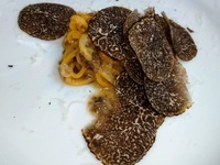 CORSO DEGSTAZIONE フルコース 少なめのポーションで色々なお料理を