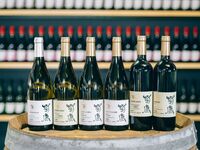 【3月13日限定】   菊鹿 熊本ワインファーム × 割烹 水暉  ワンナイトイベント