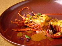 【★1月～2月限定タイムセール★冬の味覚！伊勢海老ランチ★】前菜・パスタ・メインが伊勢海老のグラチネ！全4皿ショートコース！