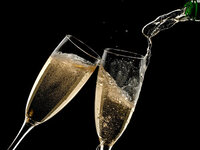 【カジュアルコース】大人気じゃがバタ明太や天の名物含む全9品