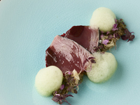 【利用日限定】20%off ～シャルール～ メインは三河豚 　5品＋食後のお飲み物   