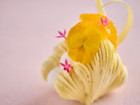 ムラングシャンティ ～ミモザ～