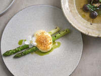 [Weekend & Public Holiday Lunch] 6-course meal featuring firefly squid, domestic green asparagus, and more - PIMIENTO