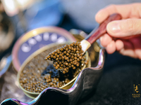 [Lunch course] Saison