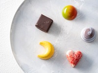 セルリアン セレクション 2026（5個入り）