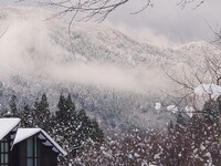 <Accommodation for 2 people + breakfast and dinner included> A spacious cottage filled with the warmth of wood