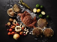 【期間限定特別価格】旬 /SHUN ＋ グラスシャンパン付