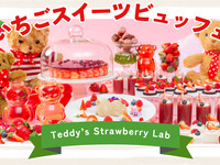 【早割】いちごスイーツビュッフェ~Teddy's Strawberry Lab🍓~+1ドリンク