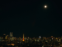 [Valentine Special Course] Window seating only + Valentine's message included course (8 dishes) 10,000 yen