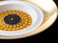 デギュスタシオンコース 【4月1日よりご提供】