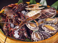 [Teppanyaki] Morimoto Kiwami Course