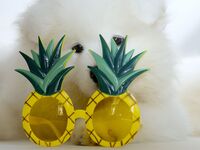 仅限座位（冲绳县居民可享折扣）