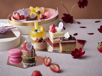 Sheraton Sweets Box [February: Strawberry x Chocolate Sweets]