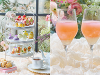 犬同伴【スペシャルドリンク付】フラワーマルシェアフタヌーンティー（土日祝）