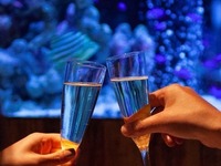 [B] Standard Dinner Course (7 dishes)