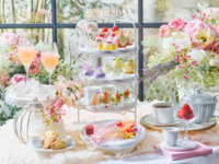 【土日 通常プラン（わんちゃん同伴有）】大人/中学生以上フラワーマルシェアフタヌーンティー