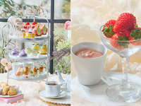 ＜特別会場へご案内＞【フレッシュ苺付】フラワーマルシェアフタヌーンティー（土日祝）