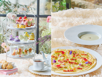 【土日 ピザランチプラン（わんちゃん同伴無し）】大人/中学生以上フラワーマルシェアフタヌーンティー