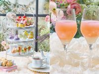 【平日 スペシャルドリンク付き（わんちゃん同伴無し）】大人/中学生以上フラワーマルシェアフタヌーンティー