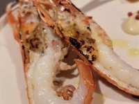 【数量限定】手長海老🦞Wメインフルコース