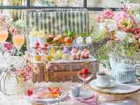 【ピクニック】フラワーマルシェアフタヌーンティー（平日）