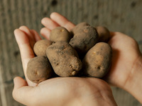 【The Bar】 A Variety of Vegan Options