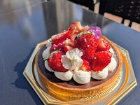 バレンタイン限定　京の雫のみを使用した生チョコタルト　（15センチ）