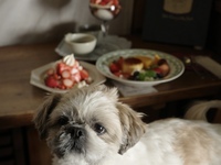 [お子様/ワンちゃん]「事前予約でガレージ席の256nicomを楽しむ」のコース