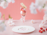 ＜平日＞『大人のご褒美パフェ付き桜色のストロベリーアフタヌーンティー』 スイーツでお花見気分！～桜といちごが奏でる心ときめくひとときを～　マリアージュフレールもお替り自由