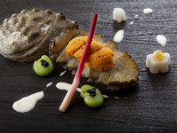 💎JFRカード会員様限定💎【ディナー　呉竹】扇会席