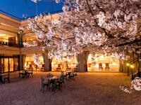 フレンチ【ディナー】桜コース（ロゼシャンパン+ワインペアリング付）