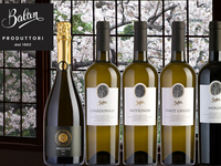 【The Rose Residence】イタリア「Balan」ワインと 山川俊樹シェフのお花見賞味会