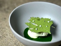 Dinner Course Fil Vegan (From April 1, 2026)