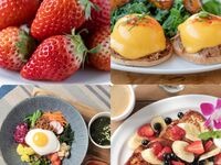 【春の苺プラン】紅ほっぺ苺のアサイーボウルと選べるメイン ランチコース　