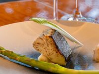 3/6- 春の昼懐石　ヒレテーキ100g｜平日カード会員様限定｜当日入会可