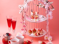 3/7~【アフタヌーンセット付きランチ】ひと口の幸せを感じる前菜盛り+5種から選べるメイン+季節のアフタヌーンセット付｜贅沢ランチ（ランチ＋アフタヌーン）