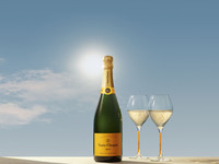 Free-Flow Veuve Clicquot Champagne & Wine Selection. 