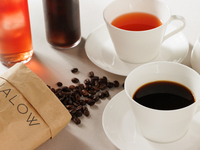 【WEB限定】HALOWランチコース★カフェフリー付★