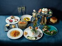 Premium Anniversary Course