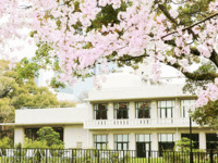 【4月4日(土)限定｜ランチ】SAKURA Lunch Course　大人コース
