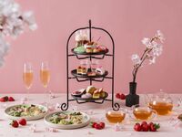 【平日：いちご×桜アフタヌーンティー】春を堪能するティーフード＆デザートドリンク＋スパーク等3時間フリーフロー