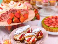 【4月～6月】<ディナー>5種のワイン飲み放題付・満開春桜といちごのスイーツビュッフェ 8300円