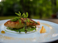 季節のディナー　メインディッシュ 魚(完全予約制)